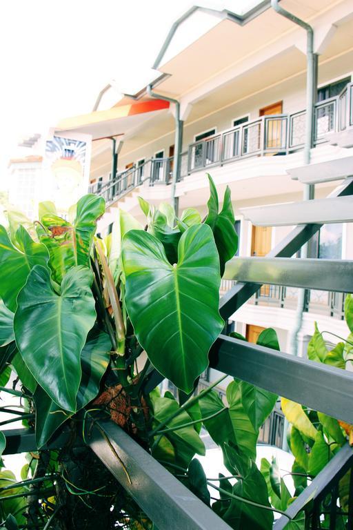 Citi Serviced Apartments And Motel - Korobosea Boroko Ngoại thất bức ảnh